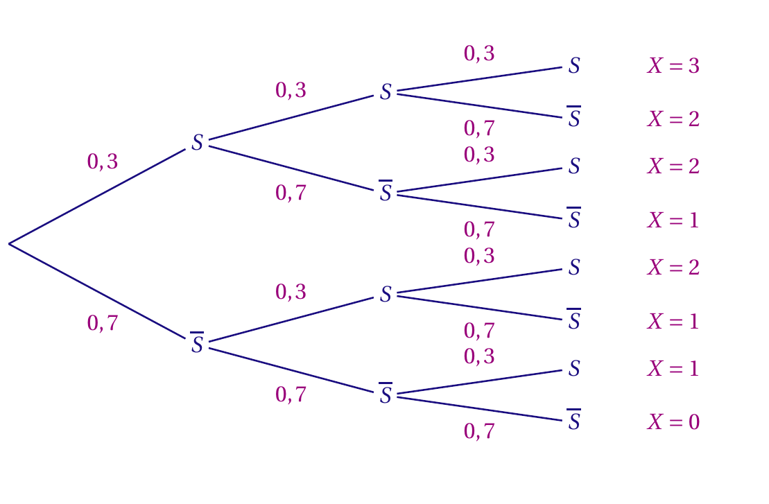 Comment Calculer Une Probabilité Avec Le Schéma De Bernoulli TCme : Lois de probabilités discrètes